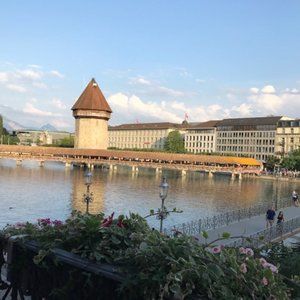 Meet your Posher, Dee